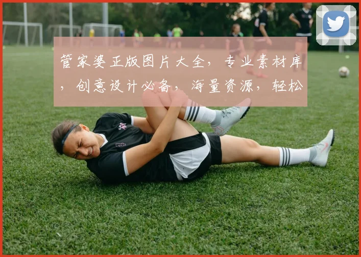 管家婆正版图片大全，专业素材库，创意设计必备，海量资源，轻松下载